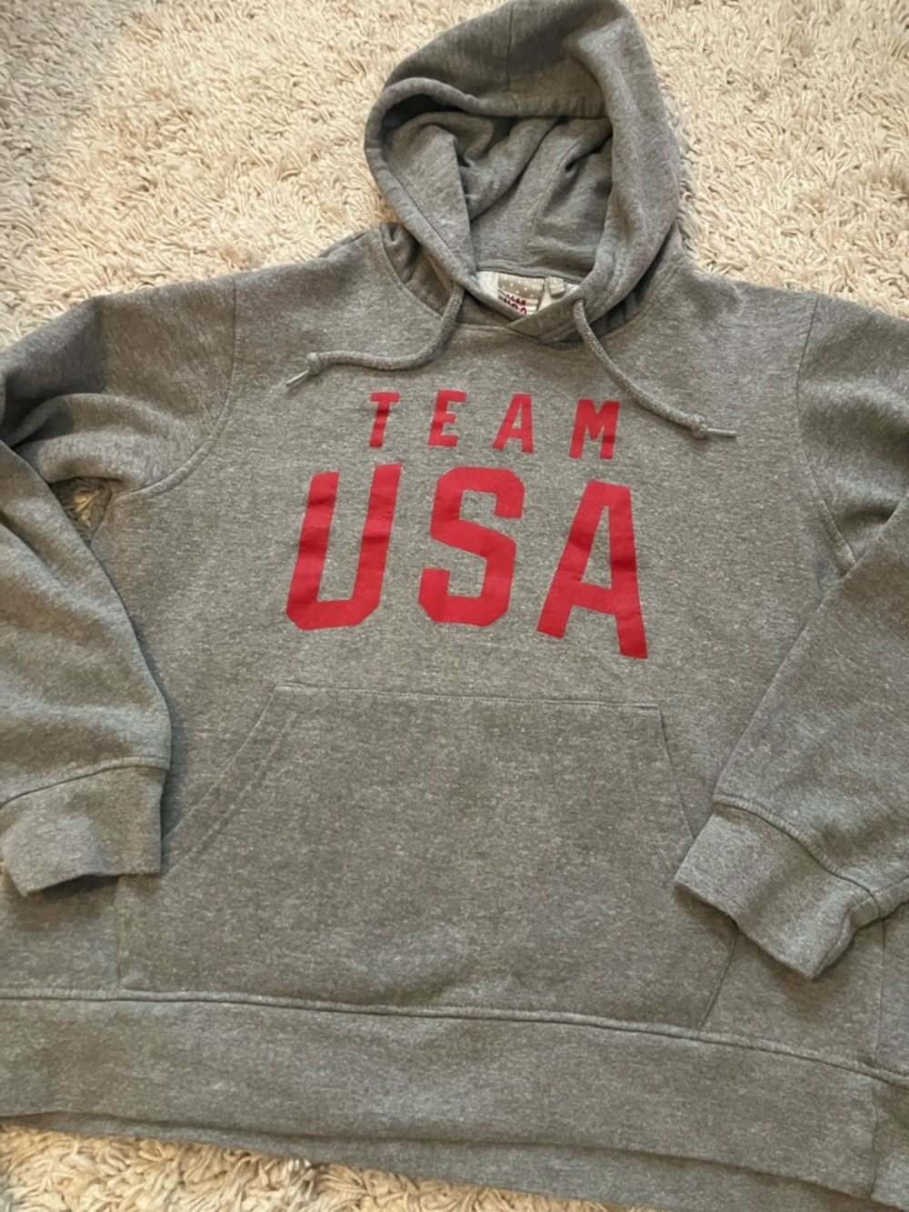 Gray Hooded Sweatshirt with Red TEAM USA Lettering